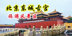 大屌男爆操大胸女爆浆中国北京-东城古宫旅游风景区